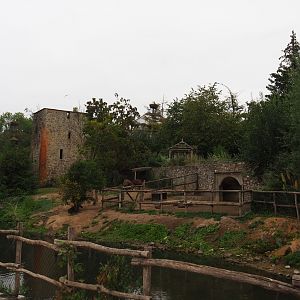 South American tapir and capybara exhibit, 2020-09-03