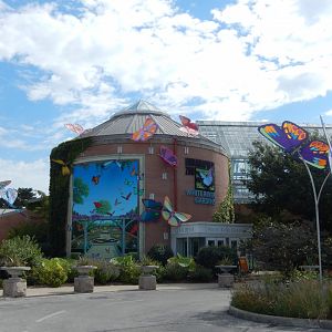 8/17/2020 - White River Gardens