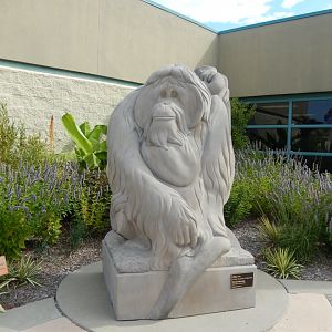 8/17/2020 - Azy Statue