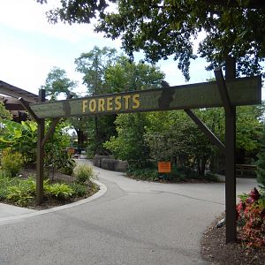 8/17/2020 - Forests Entry Sign