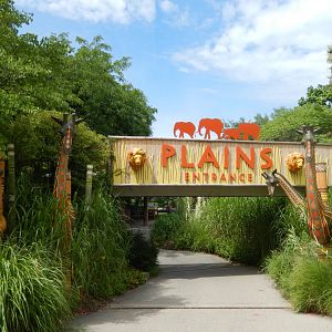 8/17/2020 - Plains Entrance