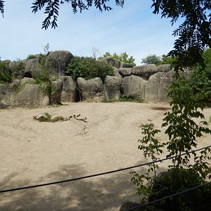 8/17/2020 - White Rhino Habitat - Upper Portion