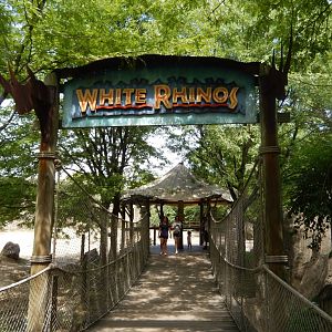 8/17/2020 - White Rhino Habitat - Bridge to Center Gazebo