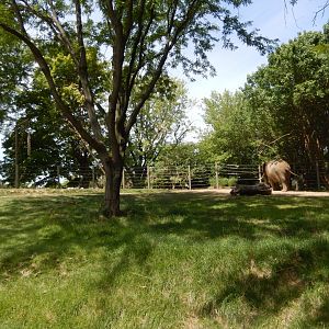 8/17/2020 - Tembo Camp - Right Half