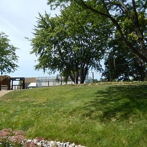 8/17/2020 - Tembo Camp - Left Half