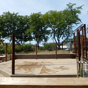 8/17/2020 - Tembo Camp - Demo Yard