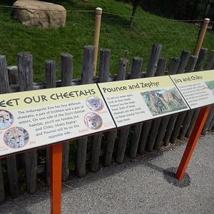 8/17/2020 - Meet the Cheetahs Signage