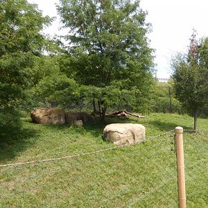 8/17/2020 - Cheetah: The Race for Survival - Second Habitat