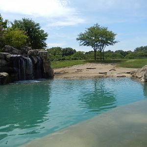 8/17/2020 - Primary African Elephant Habitat - Beautiful Pool