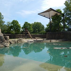8/17/2020 - Smaller African Elephant Habitat