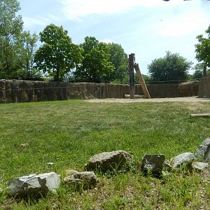 8/17/2020 - Smaller African Elephant Habitat