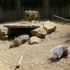 8/17/2020 - Exhibit Mates