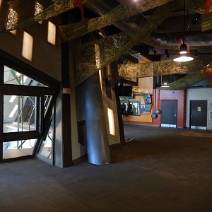 8/17/2020 - International Orangutan Center - Interior View