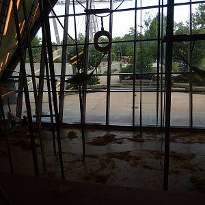 8/17/2020 - Indoor Orangutan Exhibit