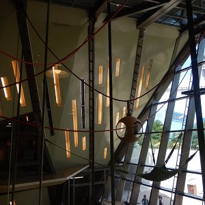 8/17/2020 - Indoor Orangutan Exhibit