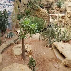 8/17/2020 - Deserts - General View