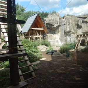 8/17/2020 - Crab-Eating Macaque Habitat