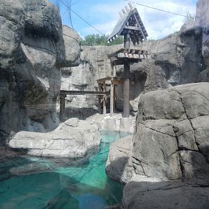 8/17/2020 - Crab-Eating Macaque Habitat - Pool View