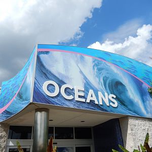 8/17/2020 - Oceans Building