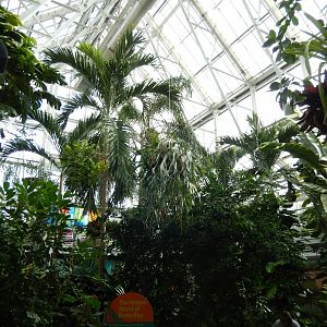 8/17/2020 - Butterfly Jungle