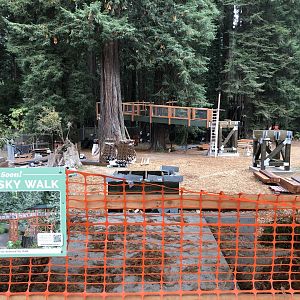Redwood Skywalk construction