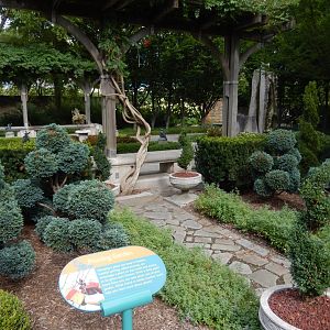 8/17/2020 - Pruning Garden