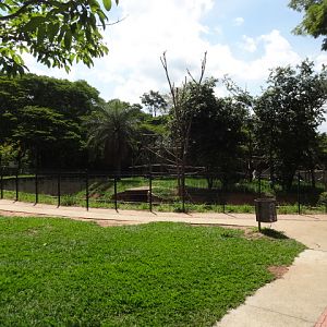 Gray woolly monkey exhibit - Belo Horizonte zoo