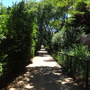 Hoofstock corridor - Belo Horizonte zoo