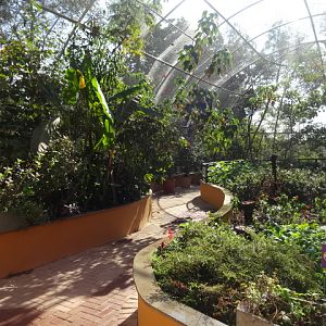 Papillorama/butterfly house - Belo Horizonte zoo