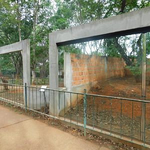 Exhibit under construction - Brasilia zoo