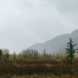 Rainbow shining through over the Brown Bear Exhibit