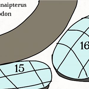 Mesozoic Zoo Map (Part 8)
