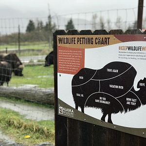 Another interesting sign