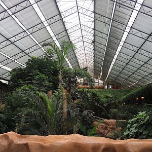 View in the Oasis, 2020-09-03