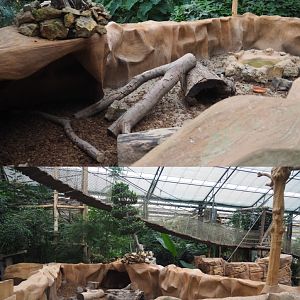 Large hairy armadillo exhibit, 2020-09-03