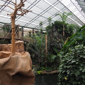Monkey island in the Oasis, 2020-09-03