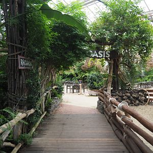 Walkwal in the Oasis, 2020-09-03