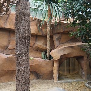 Access to Aldabra giant tortoise holding and shelter area, 2020-09-03