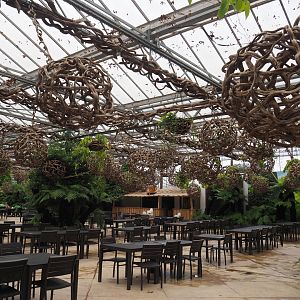 Oasis restaurant area, 2020-09-03