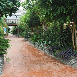 Walkway in the Oasis, 2020-09-03
