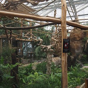 Black howler monkey exhibit, 2020-09-03