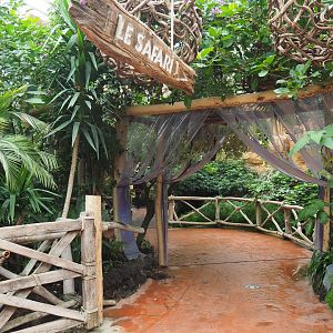Walkway in Oasis with access to former aracari area/current macaw area, 2020-09-03