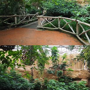 Former aracari area/current macaw area, 2020-09-03