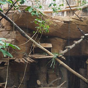 Northern Luzon giant cloud exhibit, 2020-09-03