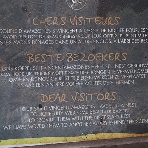 Signage Saint Vincent amazons off-show for nesting, 2020-09-03