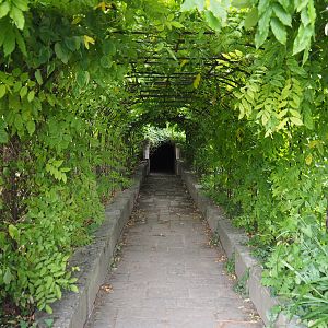 Access to the crypt underneath the abbey tower, 2020-09-03