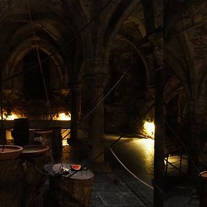 Egyptian fruit bat walk-through exhibit in the crypt underneath the abbey tower, 2020-09-03