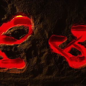 Part of the naked mole-rat exhibit, 2020-09-03