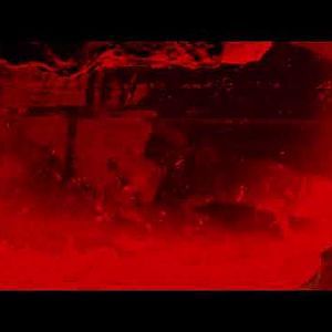 Short clip of a Naked mole-rat (Heterocephalus glaber), 2020-09-03