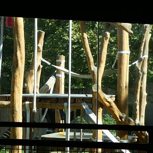 Primate Reserve - Gorilla Climbing Frame